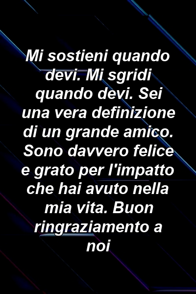 Mi sostieni quando devi. Mi sgridi quando devi. Sei una vera definizione di un grande amico. Sono davvero felice e grato per l