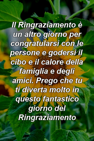 Il Ringraziamento è un altro giorno per congratularsi con le persone e godersi il cibo e il calore della famiglia e degli amici. Prego che tu ti diverta molto in questo fantastico giorno del Ringraziamento