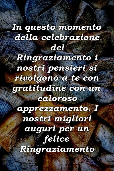 In questo momento della celebrazione del Ringraziamento i nostri pensieri si rivolgono a te con gratitudine con un caloroso apprezzamento. I nostri migliori auguri per un felice Ringraziamento