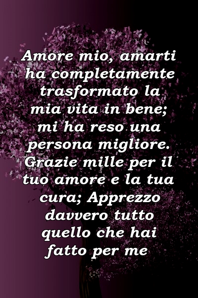 Amore mio, amarti ha completamente trasformato la mia vita in bene; mi ha reso una persona migliore. Grazie mille per il tuo amore e la tua cura; Apprezzo davvero tutto quello che hai fatto per me