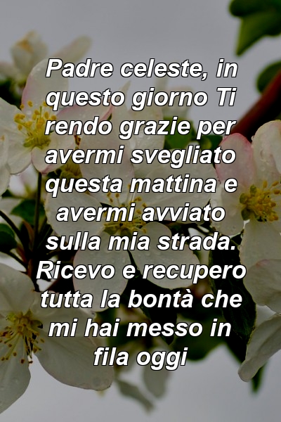 Padre celeste, in questo giorno Ti rendo grazie per avermi svegliato questa mattina e avermi avviato sulla mia strada. Ricevo e recupero tutta la bontà che mi hai messo in fila oggi