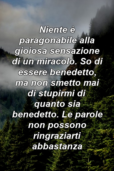 Niente è paragonabile alla gioiosa sensazione di un miracolo. So di essere benedetto, ma non smetto mai di stupirmi di quanto sia benedetto. Le parole non possono ringraziarti abbastanza