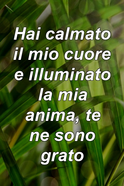 Hai calmato il mio cuore e illuminato la mia anima, te ne sono grato