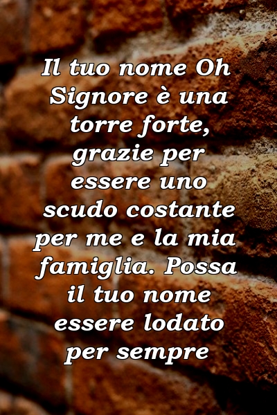 Il tuo nome Oh Signore è una torre forte, grazie per essere uno scudo costante per me e la mia famiglia. Possa il tuo nome essere lodato per sempre