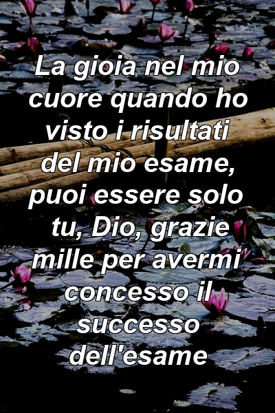 La gioia nel mio cuore quando ho visto i risultati del mio esame, puoi essere solo tu, Dio, grazie mille per avermi concesso il successo dell