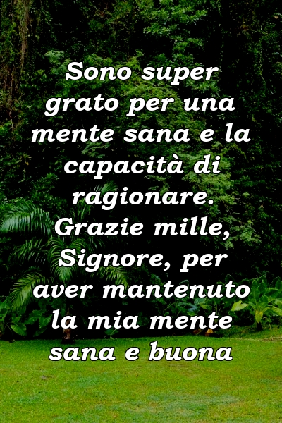 Sono super grato per una mente sana e la capacità di ragionare. Grazie mille, Signore, per aver mantenuto la mia mente sana e buona