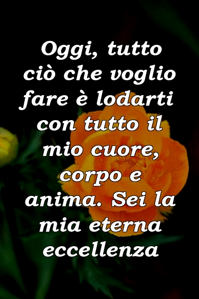 Oggi, tutto ciò che voglio fare è lodarti con tutto il mio cuore, corpo e anima. Sei la mia eterna eccellenza