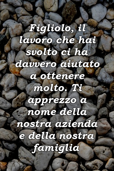 Figliolo, il lavoro che hai svolto ci ha davvero aiutato a ottenere molto. Ti apprezzo a nome della nostra azienda e della nostra famiglia