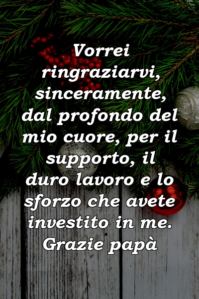 Vorrei ringraziarvi, sinceramente, dal profondo del mio cuore, per il supporto, il duro lavoro e lo sforzo che avete investito in me. Grazie papà