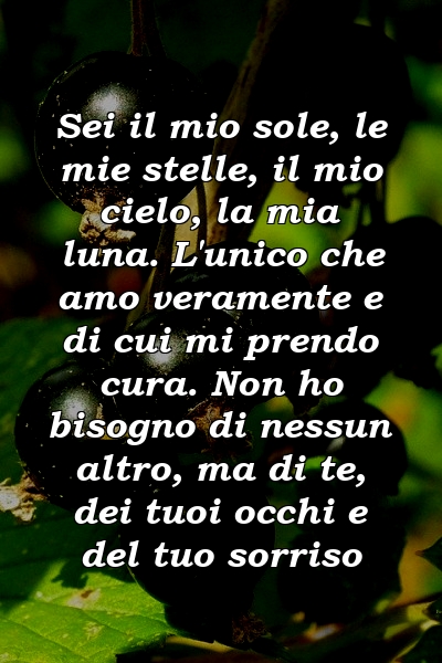 Sei il mio sole, le mie stelle, il mio cielo, la mia luna. L