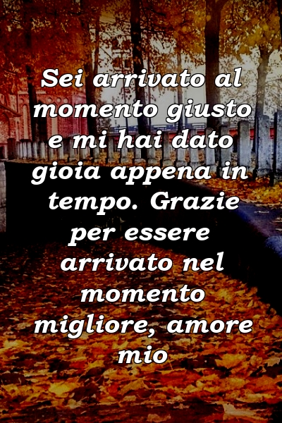 Sei arrivato al momento giusto e mi hai dato gioia appena in tempo. Grazie per essere arrivato nel momento migliore, amore mio