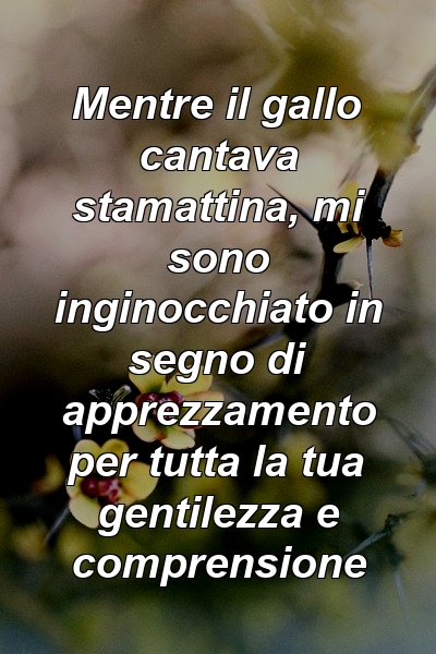 Mentre il gallo cantava stamattina, mi sono inginocchiato in segno di apprezzamento per tutta la tua gentilezza e comprensione