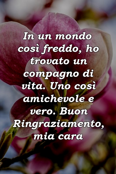 In un mondo così freddo, ho trovato un compagno di vita. Uno così amichevole e vero. Buon Ringraziamento, mia cara