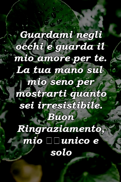 Guardami negli occhi e guarda il mio amore per te. La tua mano sul mio seno per mostrarti quanto sei irresistibile. Buon Ringraziamento, mio ​​unico e solo