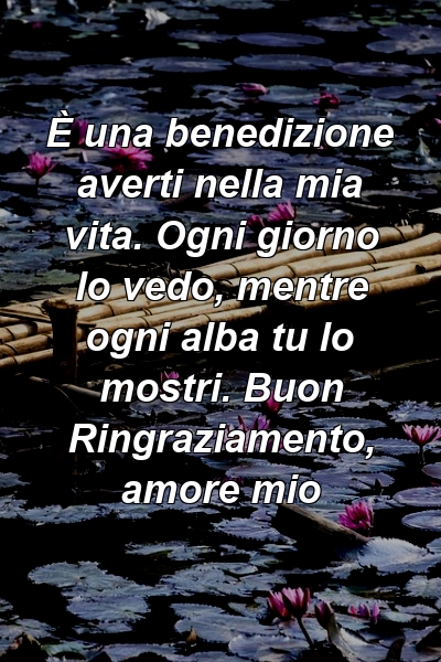 È una benedizione averti nella mia vita. Ogni giorno lo vedo, mentre ogni alba tu lo mostri. Buon Ringraziamento, amore mio