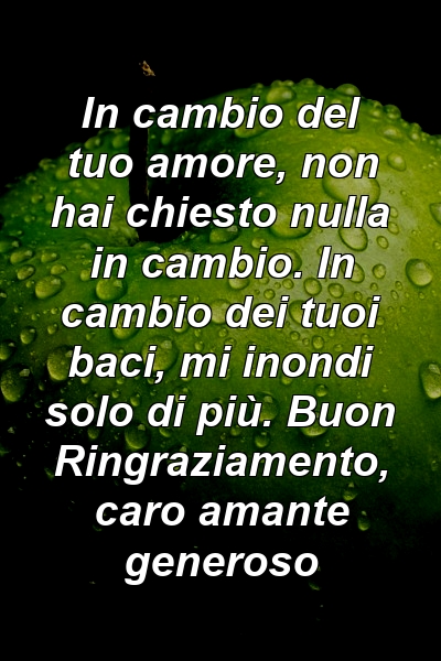 In cambio del tuo amore, non hai chiesto nulla in cambio. In cambio dei tuoi baci, mi inondi solo di più. Buon Ringraziamento, caro amante generoso