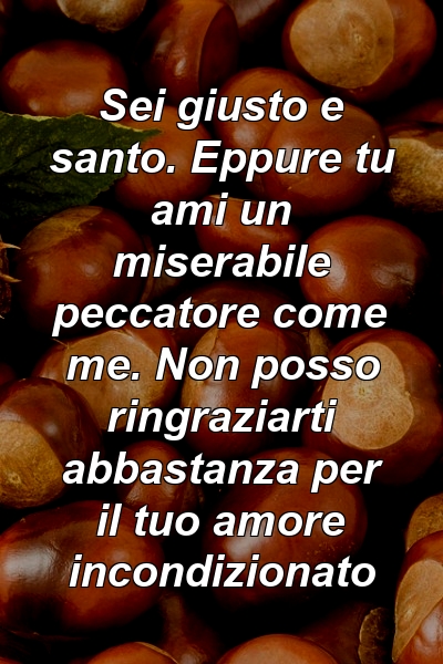 Sei giusto e santo. Eppure tu ami un miserabile peccatore come me. Non posso ringraziarti abbastanza per il tuo amore incondizionato