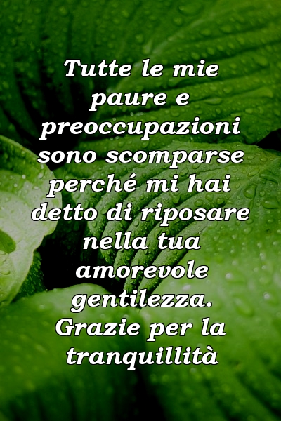 Tutte le mie paure e preoccupazioni sono scomparse perché mi hai detto di riposare nella tua amorevole gentilezza. Grazie per la tranquillità