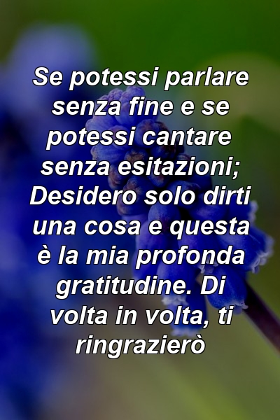 Se potessi parlare senza fine e se potessi cantare senza esitazioni; Desidero solo dirti una cosa e questa è la mia profonda gratitudine. Di volta in volta, ti ringrazierò