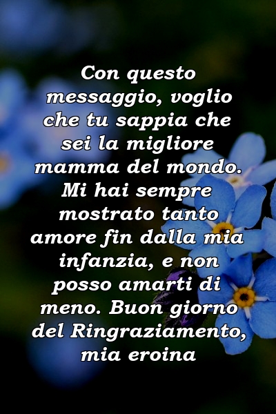 Con questo messaggio, voglio che tu sappia che sei la migliore mamma del mondo. Mi hai sempre mostrato tanto amore fin dalla mia infanzia, e non posso amarti di meno. Buon giorno del Ringraziamento, mia eroina