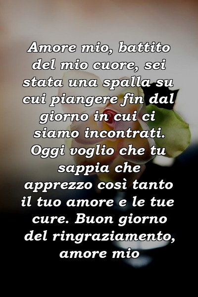 Amore mio, battito del mio cuore, sei stata una spalla su cui piangere fin dal giorno in cui ci siamo incontrati. Oggi voglio che tu sappia che apprezzo così tanto il tuo amore e le tue cure. Buon giorno del ringraziamento, amore mio