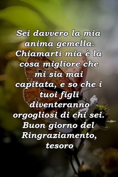 Sei davvero la mia anima gemella. Chiamarti mia è la cosa migliore che mi sia mai capitata, e so che i tuoi figli diventeranno orgogliosi di chi sei. Buon giorno del Ringraziamento, tesoro