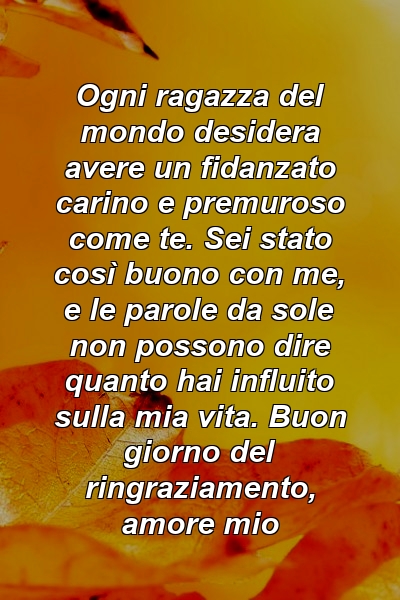 Ogni ragazza del mondo desidera avere un fidanzato carino e premuroso come te. Sei stato così buono con me, e le parole da sole non possono dire quanto hai influito sulla mia vita. Buon giorno del ringraziamento, amore mio