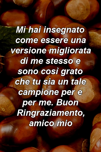 Mi hai insegnato come essere una versione migliorata di me stesso e sono così grato che tu sia un tale campione per e per me. Buon Ringraziamento, amico mio