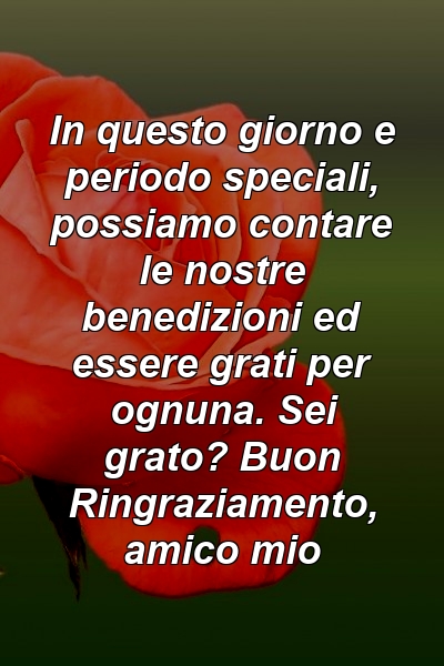 In questo giorno e periodo speciali, possiamo contare le nostre benedizioni ed essere grati per ognuna. Sei grato? Buon Ringraziamento, amico mio