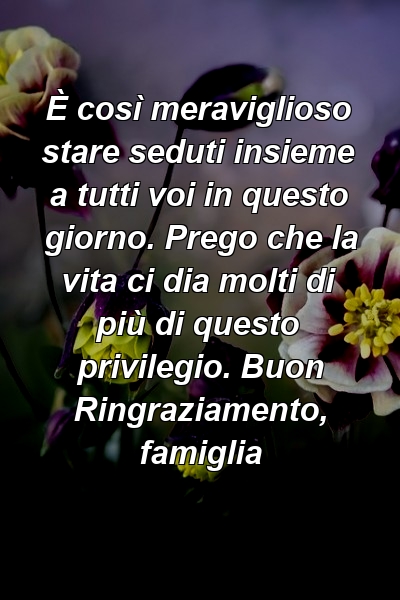 È così meraviglioso stare seduti insieme a tutti voi in questo giorno. Prego che la vita ci dia molti di più di questo privilegio. Buon Ringraziamento, famiglia