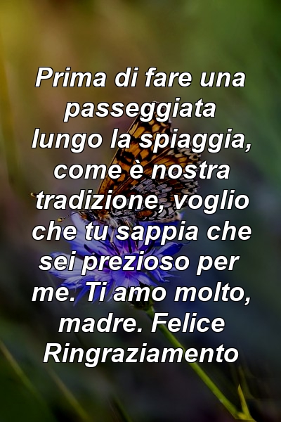 Prima di fare una passeggiata lungo la spiaggia, come è nostra tradizione, voglio che tu sappia che sei prezioso per me. Ti amo molto, madre. Felice Ringraziamento