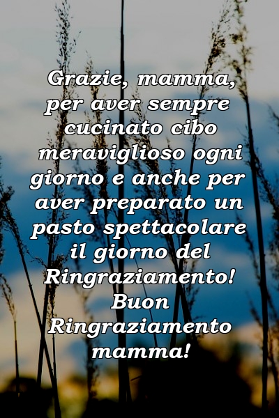 Grazie, mamma, per aver sempre cucinato cibo meraviglioso ogni giorno e anche per aver preparato un pasto spettacolare il giorno del Ringraziamento! Buon Ringraziamento mamma!