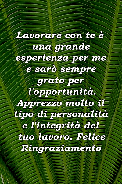 Lavorare con te è una grande esperienza per me e sarò sempre grato per l