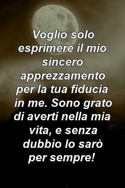 Voglio solo esprimere il mio sincero apprezzamento per la tua fiducia in me. Sono grato di averti nella mia vita, e senza dubbio lo sarò per sempre!