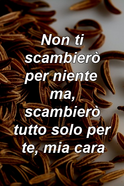 Non ti scambierò per niente ma, scambierò tutto solo per te, mia cara