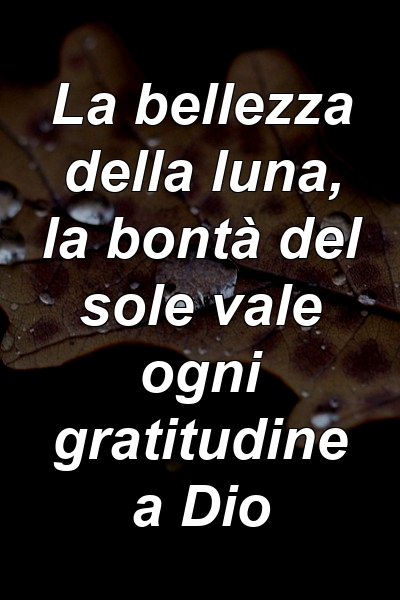 La bellezza della luna, la bontà del sole vale ogni gratitudine a Dio