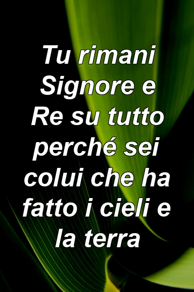 Tu rimani Signore e Re su tutto perché sei colui che ha fatto i cieli e la terra