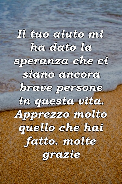 Il tuo aiuto mi ha dato la speranza che ci siano ancora brave persone in questa vita. Apprezzo molto quello che hai fatto. molte grazie