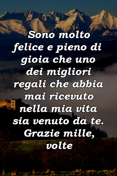 Sono molto felice e pieno di gioia che uno dei migliori regali che abbia mai ricevuto nella mia vita sia venuto da te. Grazie mille, volte