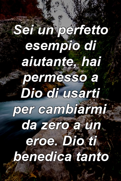 Sei un perfetto esempio di aiutante, hai permesso a Dio di usarti per cambiarmi da zero a un eroe. Dio ti benedica tanto