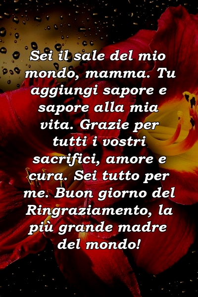 Sei il sale del mio mondo, mamma. Tu aggiungi sapore e sapore alla mia vita. Grazie per tutti i vostri sacrifici, amore e cura. Sei tutto per me. Buon giorno del Ringraziamento, la più grande madre del mondo!