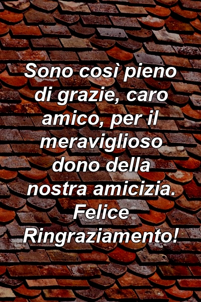 Sono così pieno di grazie, caro amico, per il meraviglioso dono della nostra amicizia. Felice Ringraziamento!