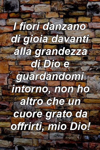 I fiori danzano di gioia davanti alla grandezza di Dio e guardandomi intorno, non ho altro che un cuore grato da offrirti, mio ​​Dio!