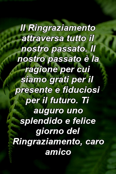 Il Ringraziamento attraversa tutto il nostro passato. Il nostro passato è la ragione per cui siamo grati per il presente e fiduciosi per il futuro. Ti auguro uno splendido e felice giorno del Ringraziamento, caro amico