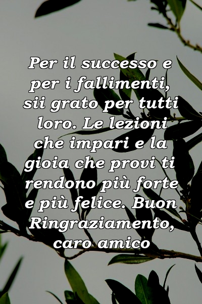 Per il successo e per i fallimenti, sii grato per tutti loro. Le lezioni che impari e la gioia che provi ti rendono più forte e più felice. Buon Ringraziamento, caro amico