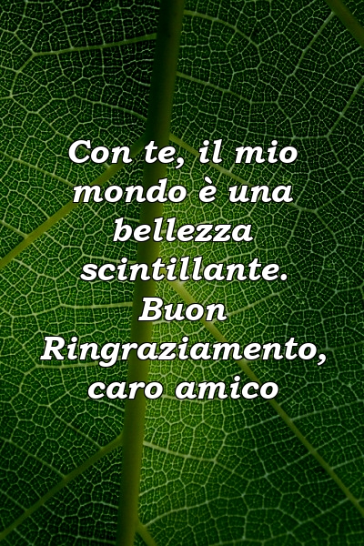 Con te, il mio mondo è una bellezza scintillante. Buon Ringraziamento, caro amico