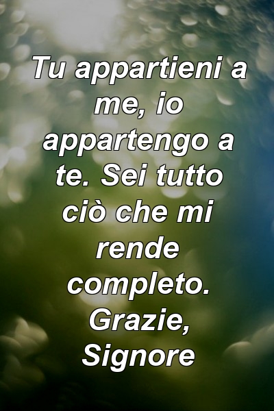 Tu appartieni a me, io appartengo a te. Sei tutto ciò che mi rende completo. Grazie, Signore