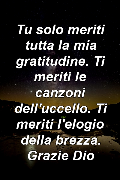 Tu solo meriti tutta la mia gratitudine. Ti meriti le canzoni dell