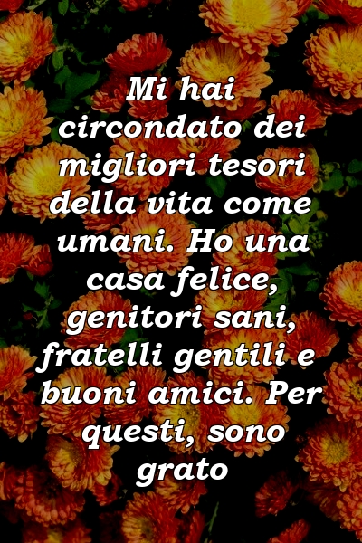 Mi hai circondato dei migliori tesori della vita come umani. Ho una casa felice, genitori sani, fratelli gentili e buoni amici. Per questi, sono grato