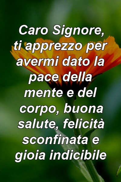 Caro Signore, ti apprezzo per avermi dato la pace della mente e del corpo, buona salute, felicità sconfinata e gioia indicibile